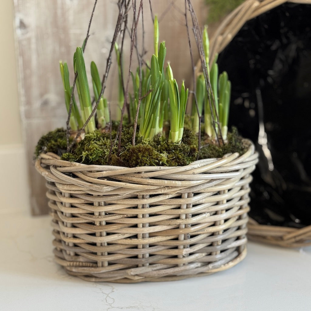 Rattan Oval Planter Basket