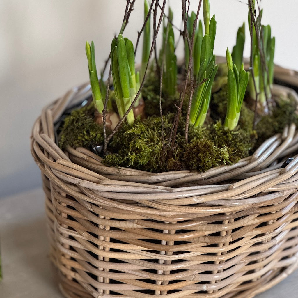 Rattan Oval Planter Basket