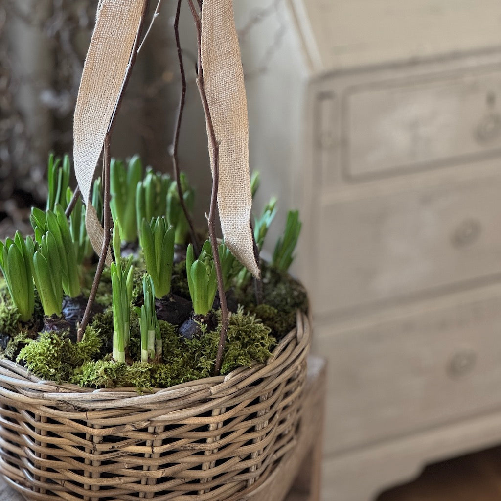 Rattan Round Planter