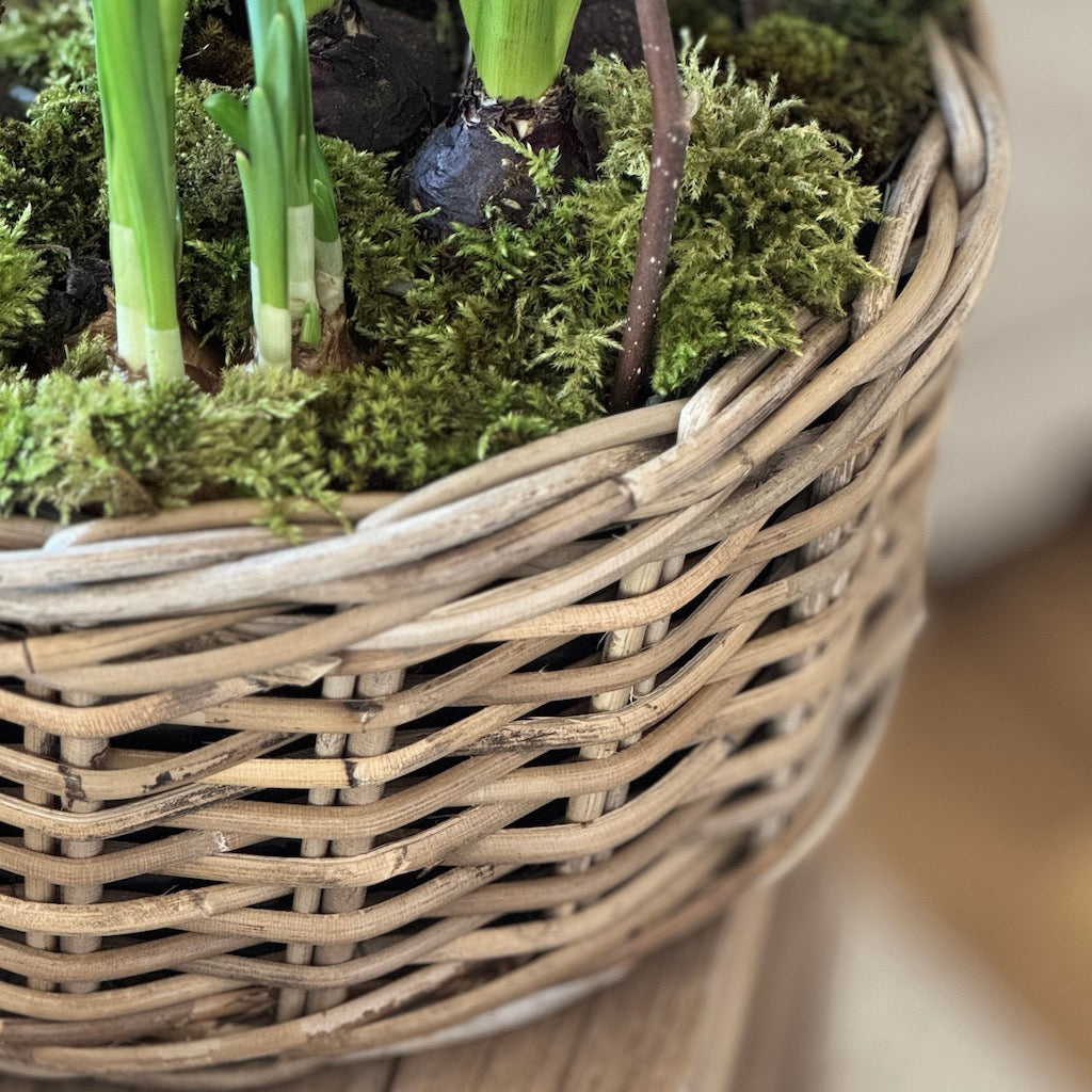 Rattan Round Planter