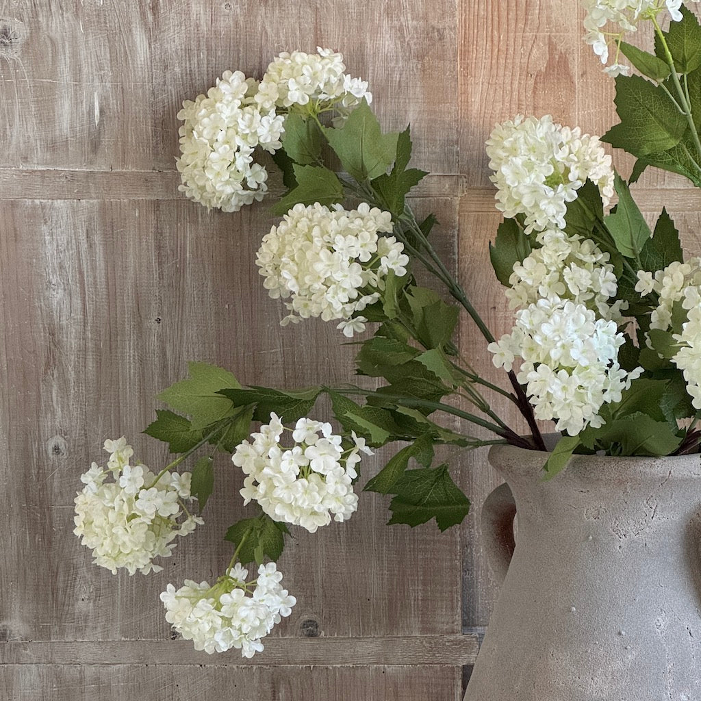 Faux White Viburnum