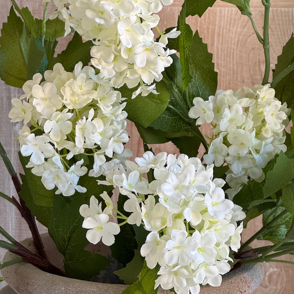 Faux White Viburnum