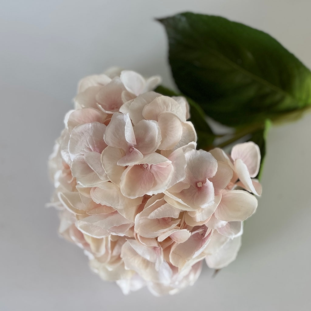 Faux Blush Real Feel Hydrangea with Leaves