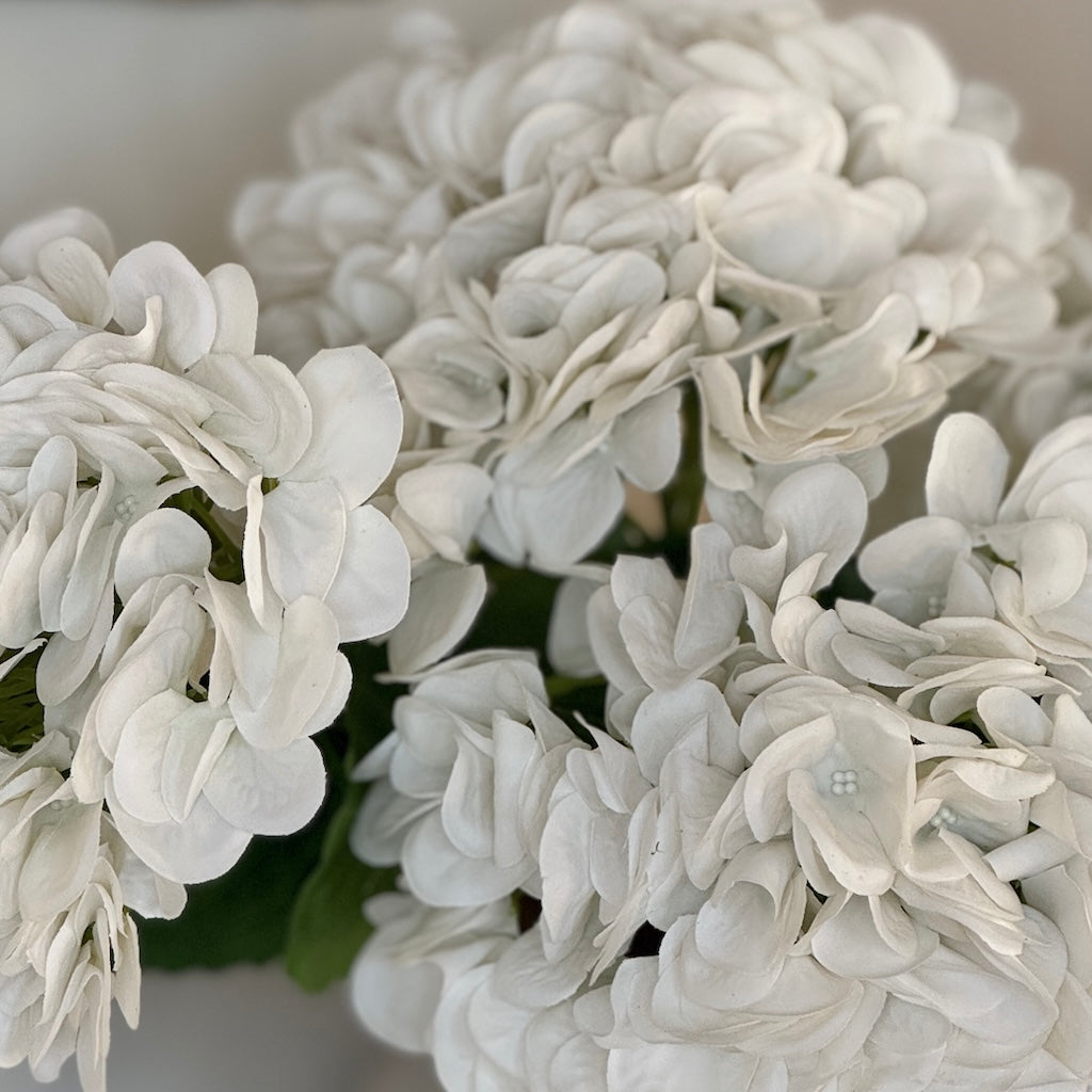 Faux White Real Feel Hydrangea