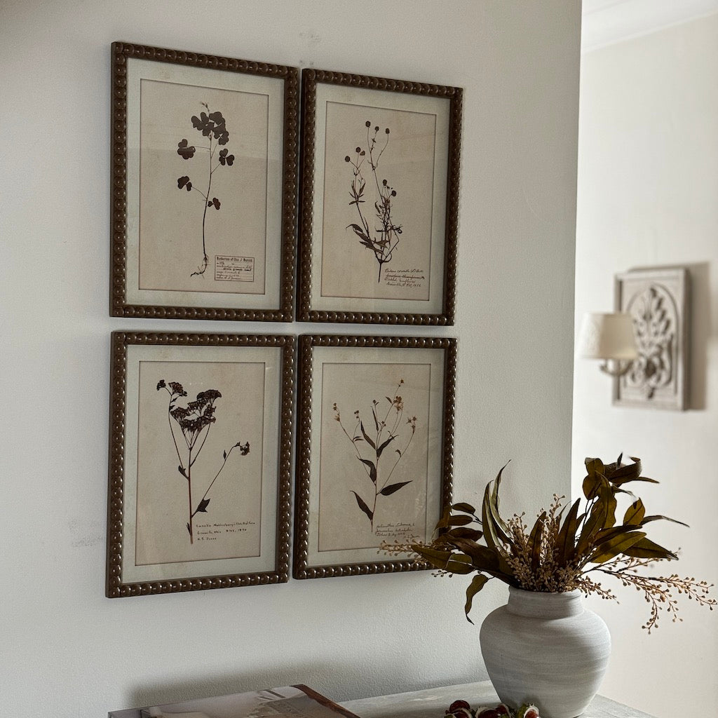 Brown Bobbin Herbier Print Set 4