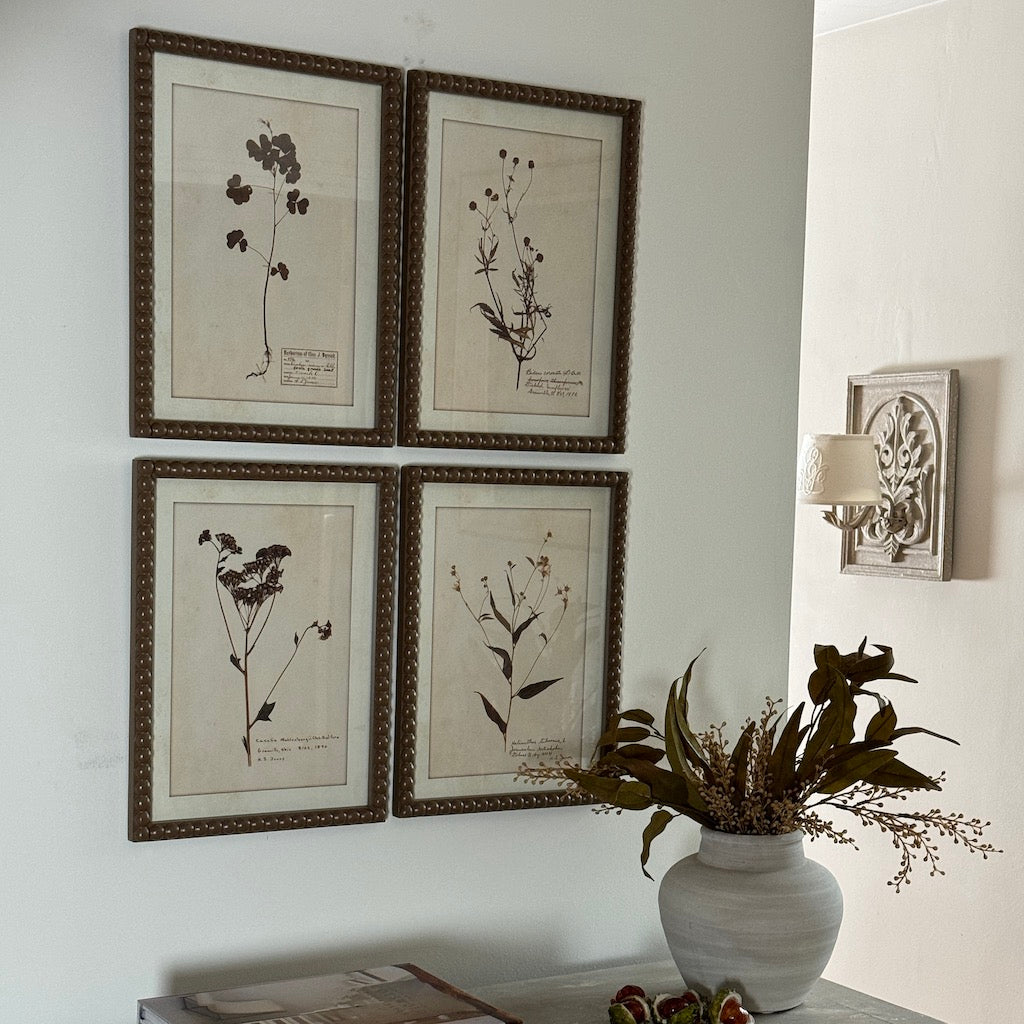 Brown Bobbin Herbier Print Set 4