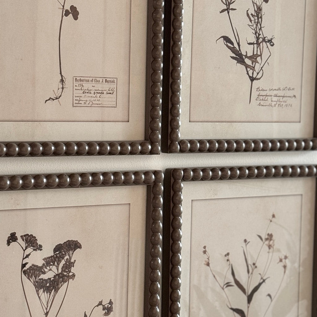 Brown Bobbin Herbier Print Set 4