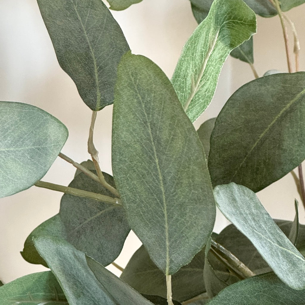 Faux Eucalyptus Populus