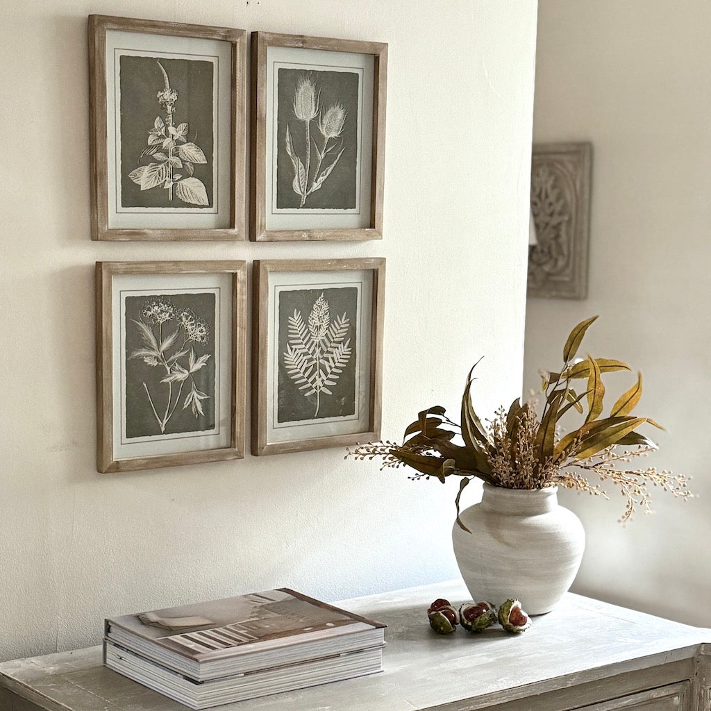 Framed Botanical Prints Set 4