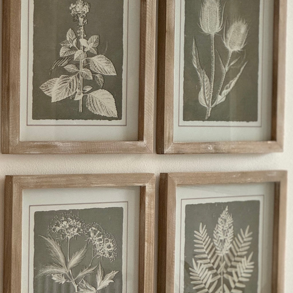 Framed Botanical Prints Set 4