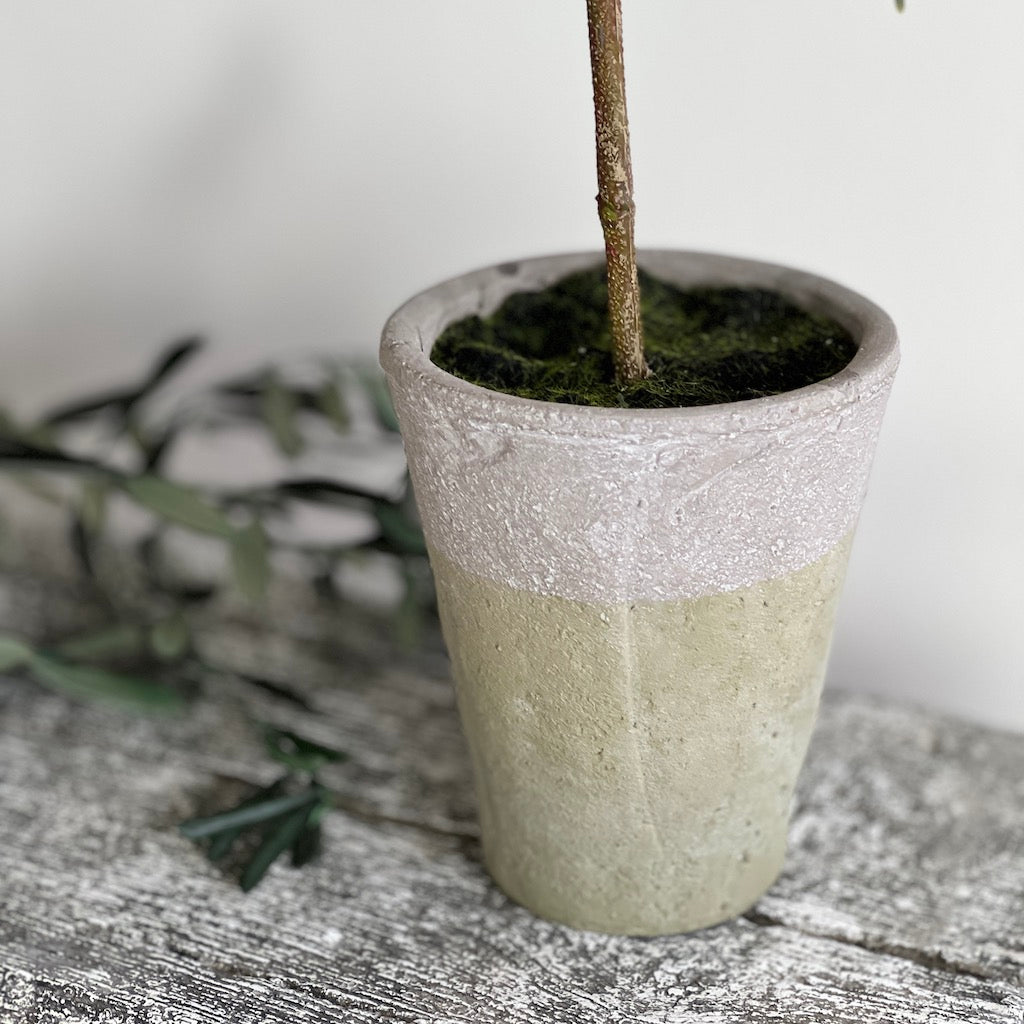 Pine Topiary Clay Pot