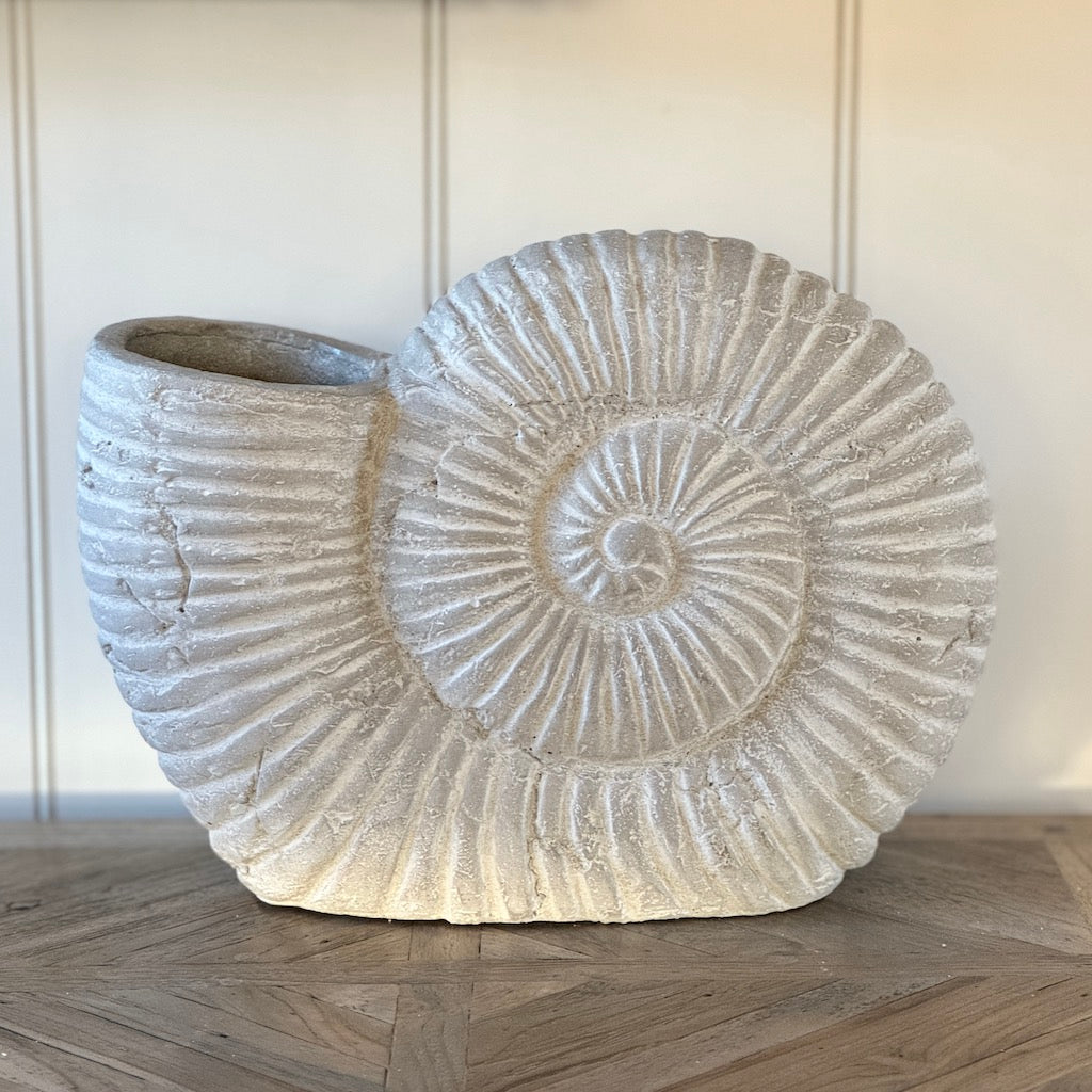 Stone Grey Ammonite Shell Ornament