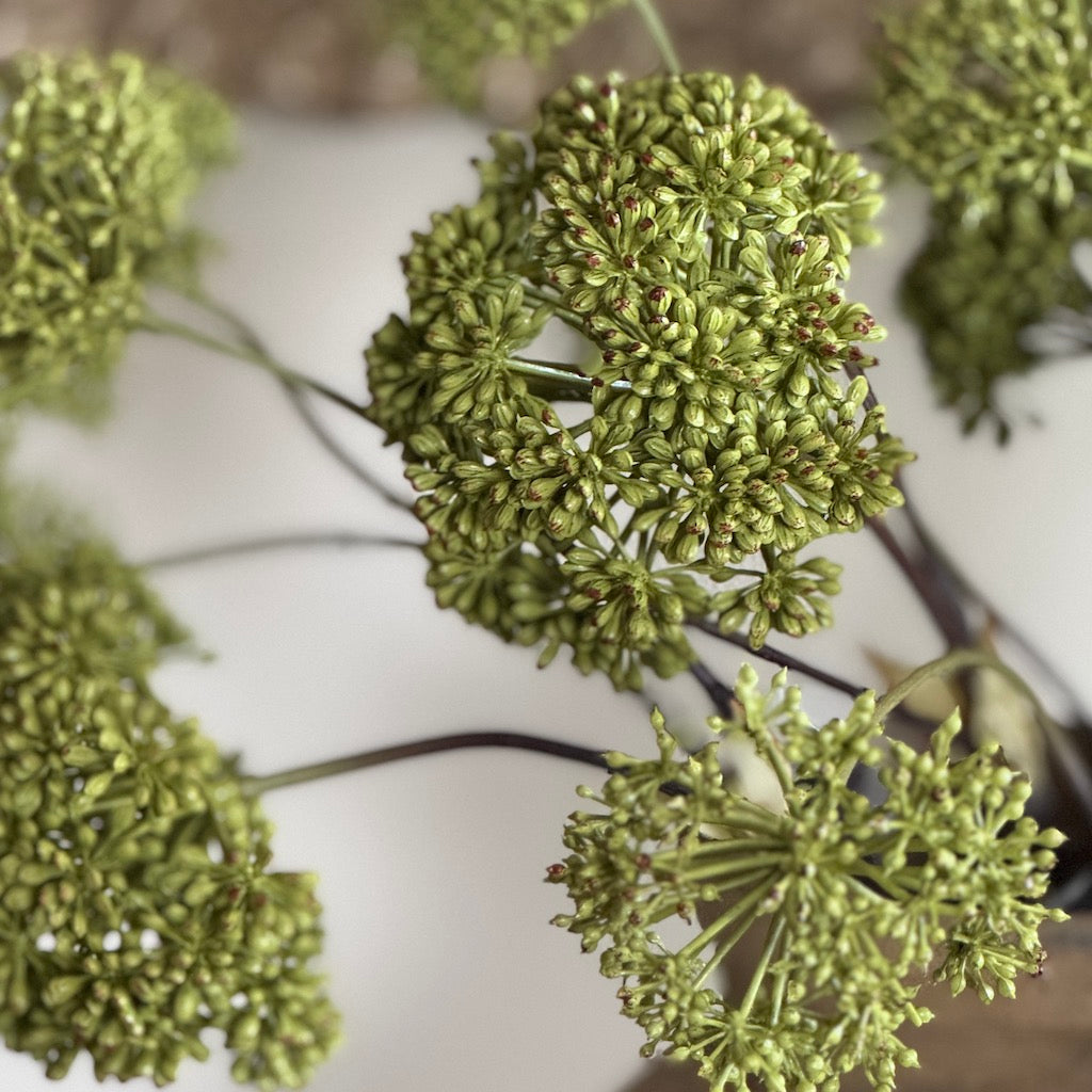 Faux Angelica Seed Head Stem