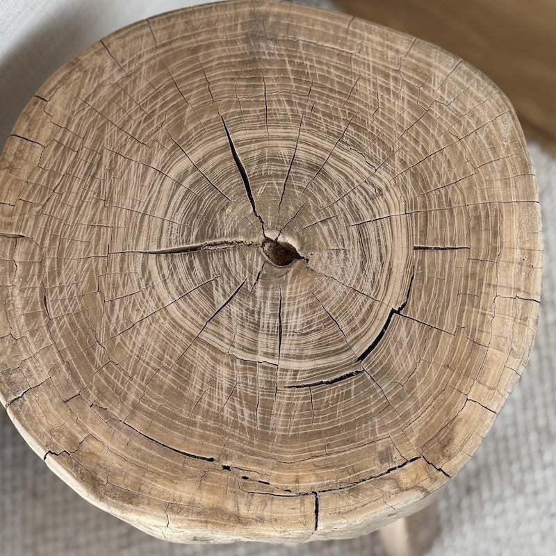 Vintage Reclaimed Tree Trunk Stool