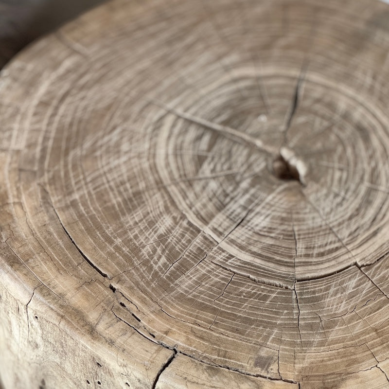 Vintage Reclaimed Tree Trunk Stool